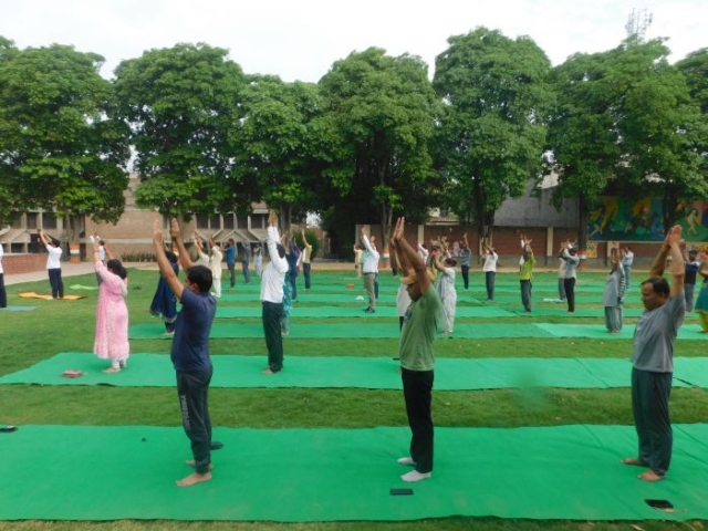 International-yoga-Day1