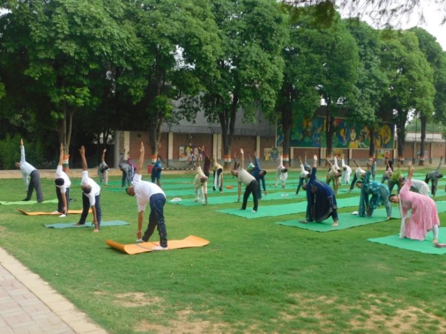 International-yoga-Day3