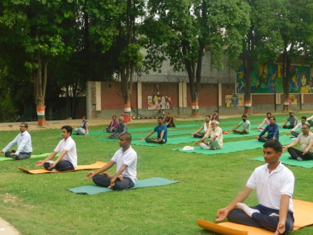 International-yoga-Day4